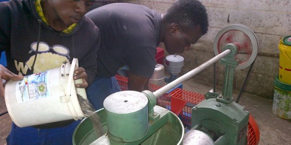 Tapera Industries Zambie