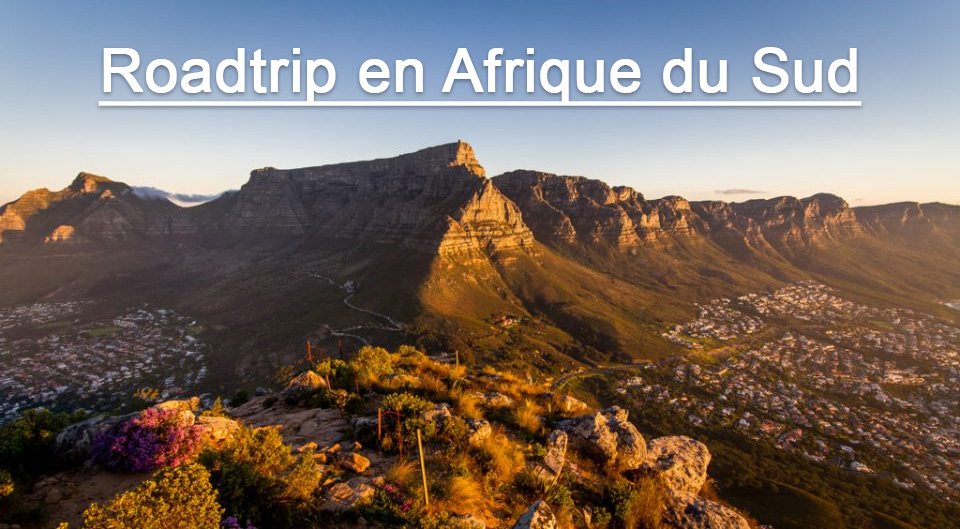 Afrique du Sud