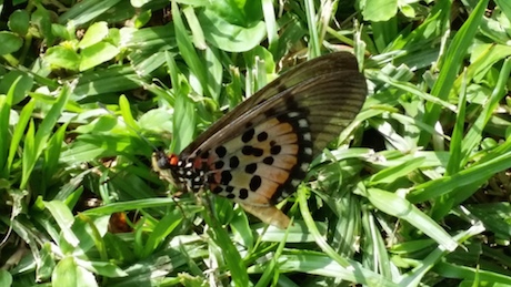Un gisement écotouristique