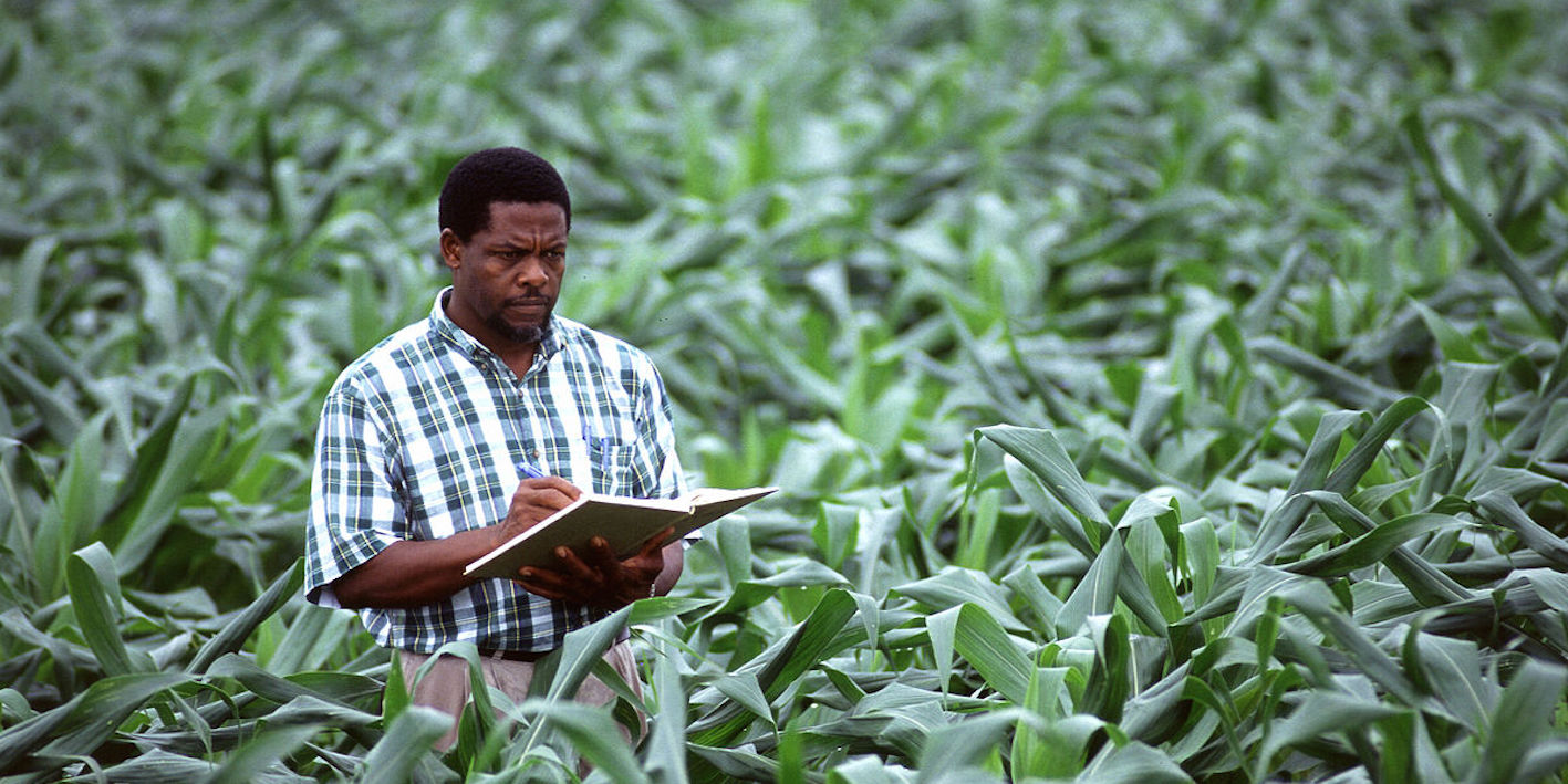 Université agricole