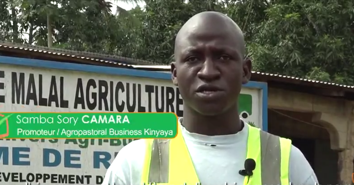 Guinée : Samba et sa petite révolution agricole