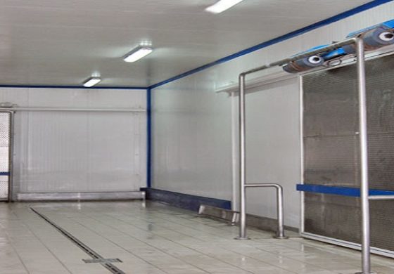 Usine de congélation