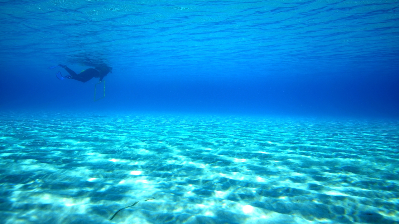 Air marine protégée