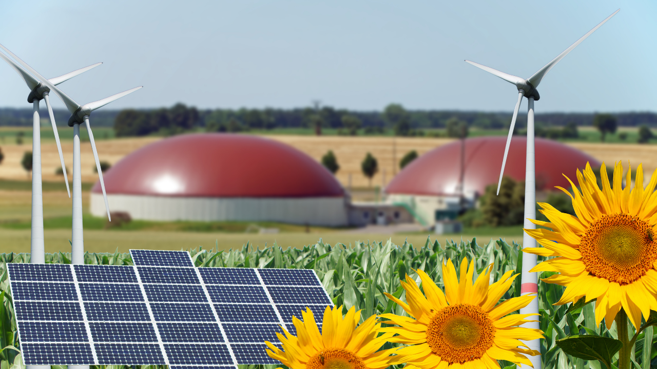 La transition énergétique en Afrique: Energie renouvelable