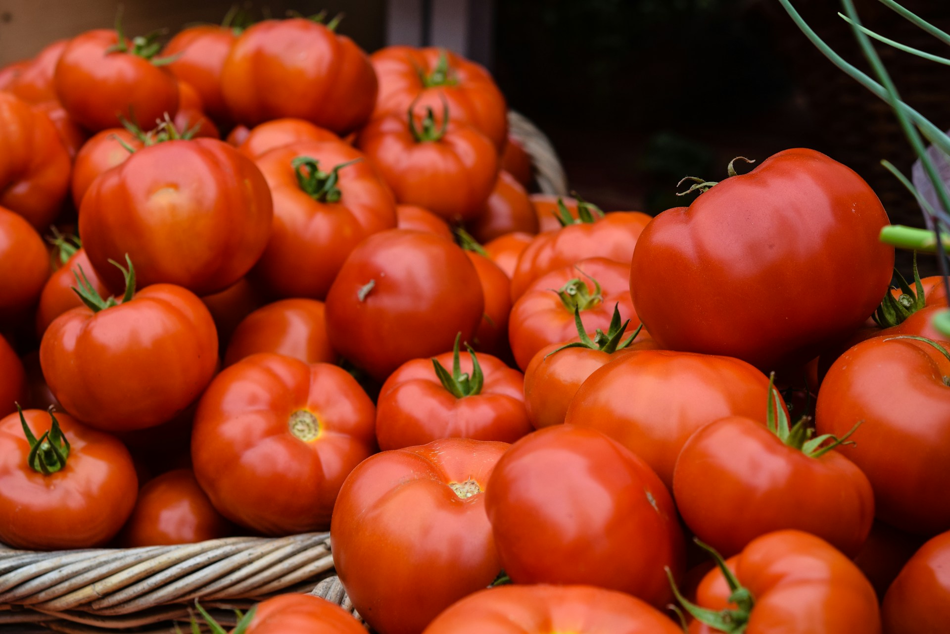 Des tomates fraîches crédit photo: @Josephine Baran sur unsplash