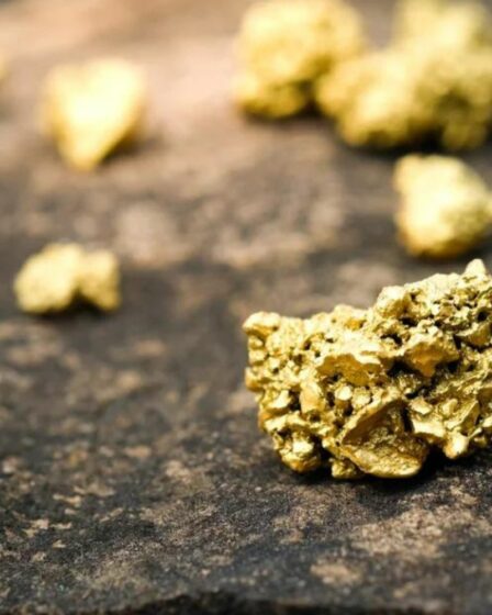 crédit photo: @forbesafrique.com