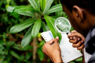 Un biologiste dans la forêt crédit photo: @rawpixel-com