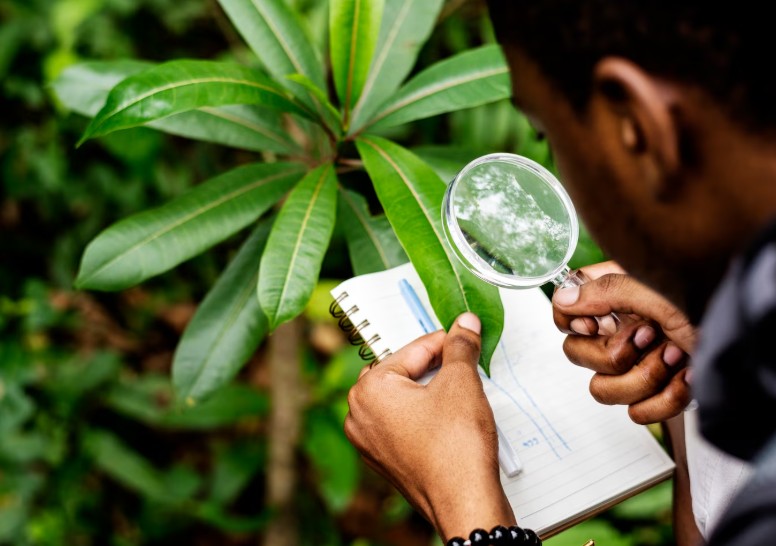 Un biologiste dans la forêt crédit photo: @rawpixel-com