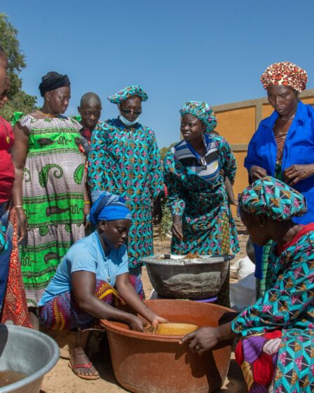 L’inclusion financière des femmes crédit photo: @lesactivelles.com