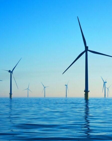 Energie marine crédit photo: @pinterest