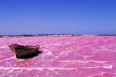 Lac rose au Sénégal crédit photo: @tripadvisor