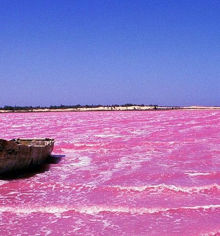 Lac rose au Sénégal crédit photo: @tripadvisor