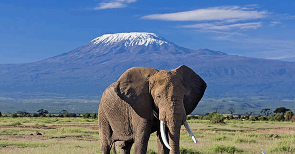 Le Kilimandjaro, Tanzanie