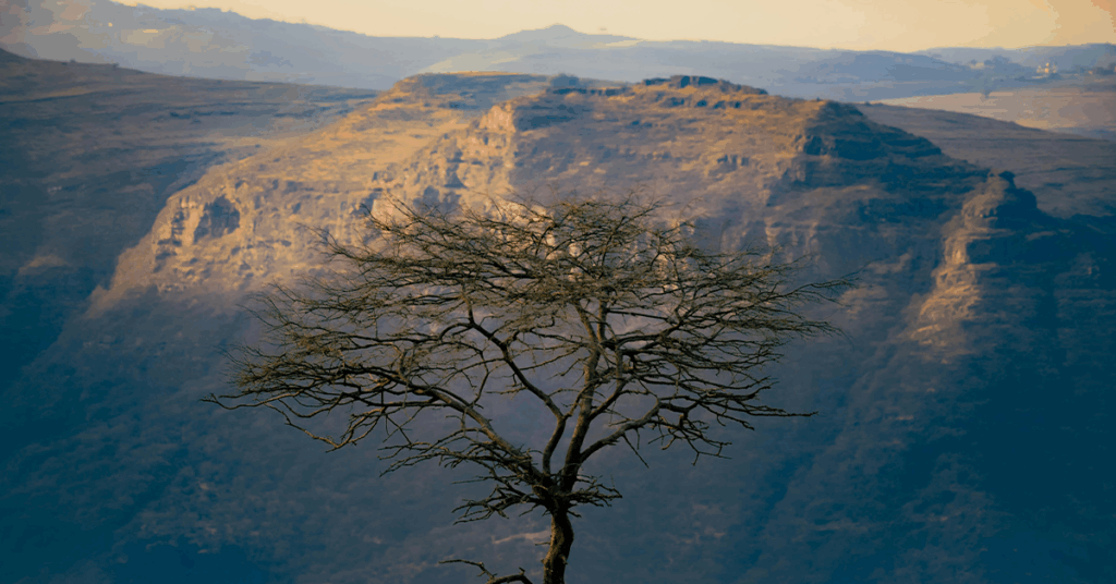 Les montagnes du Simien, Éthiopie
